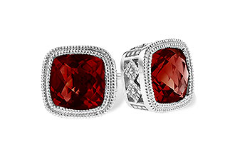 E318-55355: EARR 2.50 TW GARNET
